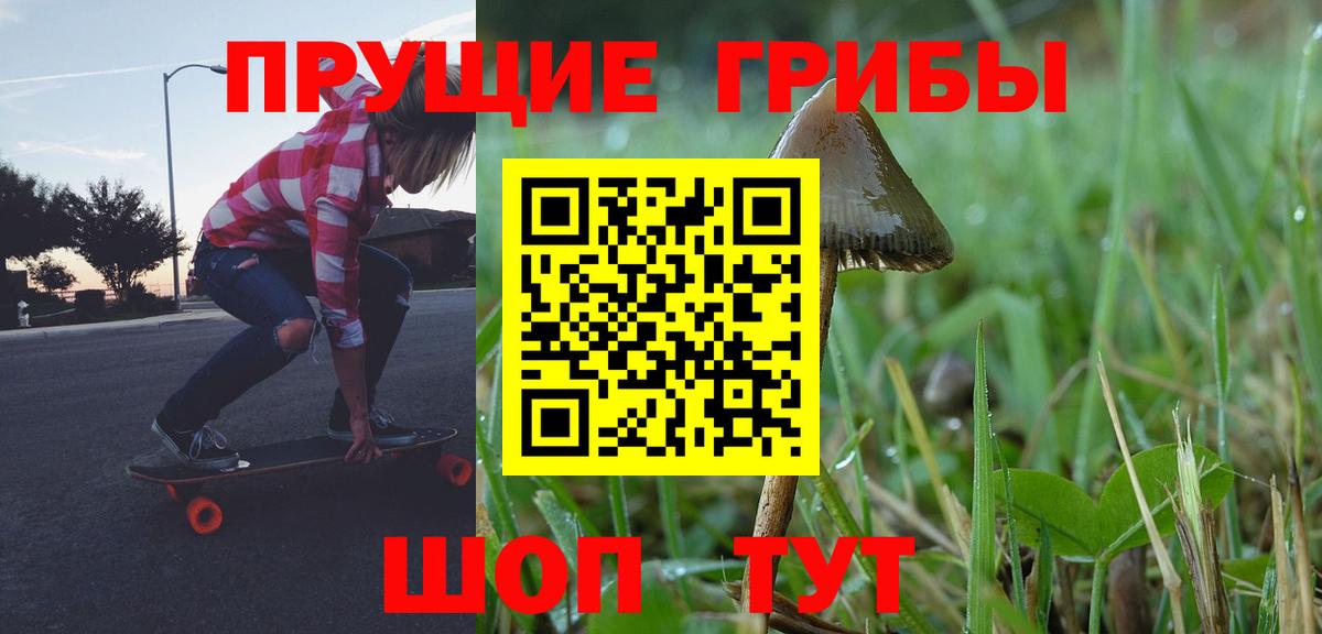 Гай  Псилоцибиновые грибы мицелий  Вход с VPN 