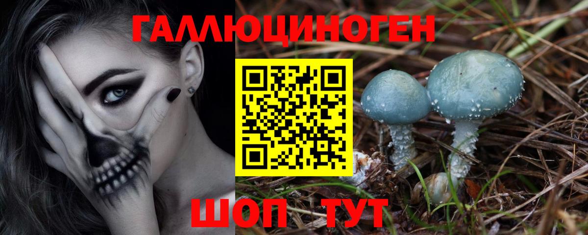 Галлюциногенные грибы Psilocybine cubensis Гай